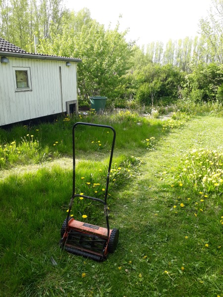 Græsslåmaskine til vild have