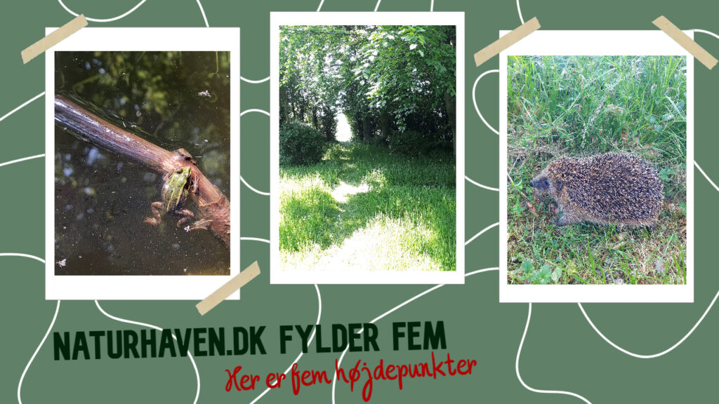 Naturhaven.dk fylder fem