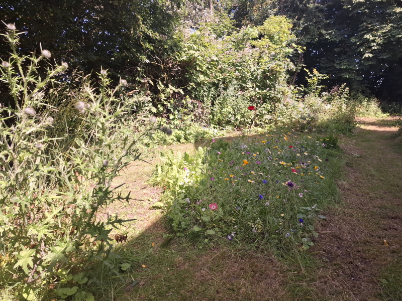 Oversigt over ny blomstereng